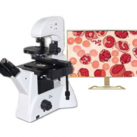 老光学厂-研究*** PH-3DMC偏光 调制相衬 倒置生物显微镜