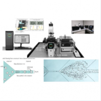 AcCellerator高通量单细胞力学荧光测试分析系统