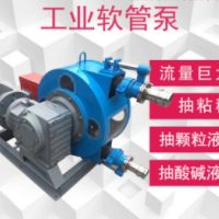 工业软管泵变频调速挤压泵